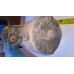 starter hitachi 12v